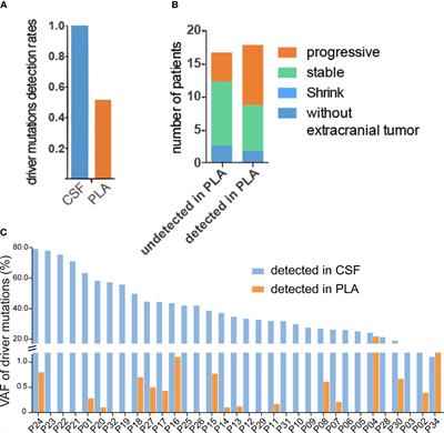 Cerebrospinal Fluid Cell-Free DNA-Based Detection of High Level of Genomic Instability Is Associated With Poor Prognosis in NSCLC Patients With Leptomeningeal Metastases